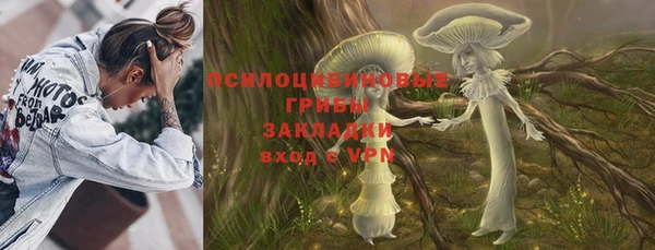 прущие крисы Магадан