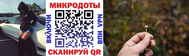 Галлюциногенные грибы GOLDEN TEACHER  Фрязино 