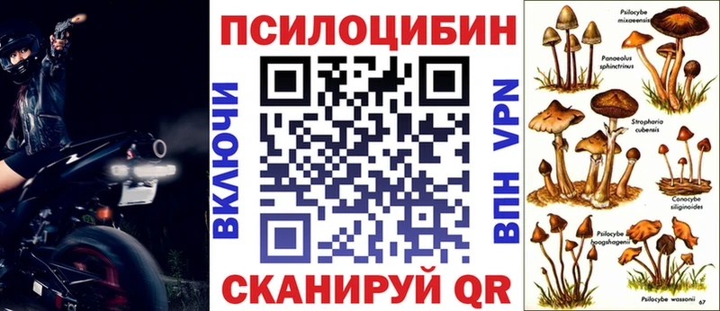 Псилоцибиновые грибы Psilocybine cubensis Фрязино