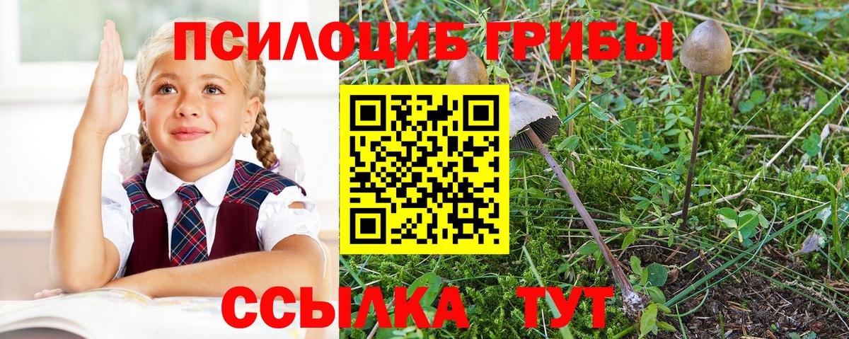 Псилоцибиновые грибы мицелий  Псилоцибиновые грибы мухоморы  Фрязино 