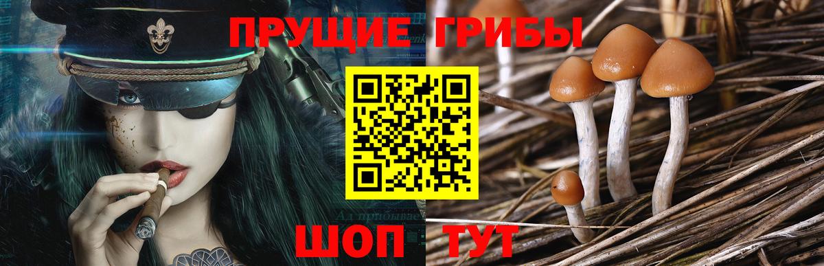 Псилоцибиновые грибы ЛСД  Вход с VPN  Фрязино  Галлюциногенные грибы ЛСД 