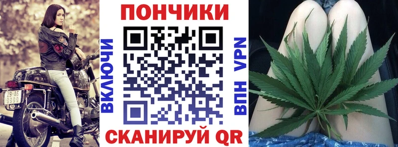дарнет шоп  Фрязино  Бошки марихуана OG Kush 